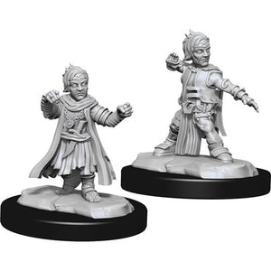 Halfling Monk