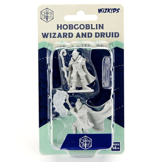 Hobgoblin Wizard & Druid