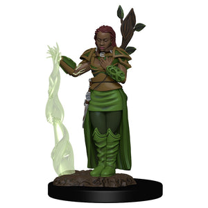 Premium Human Druid